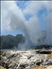 Pohutu Geyser